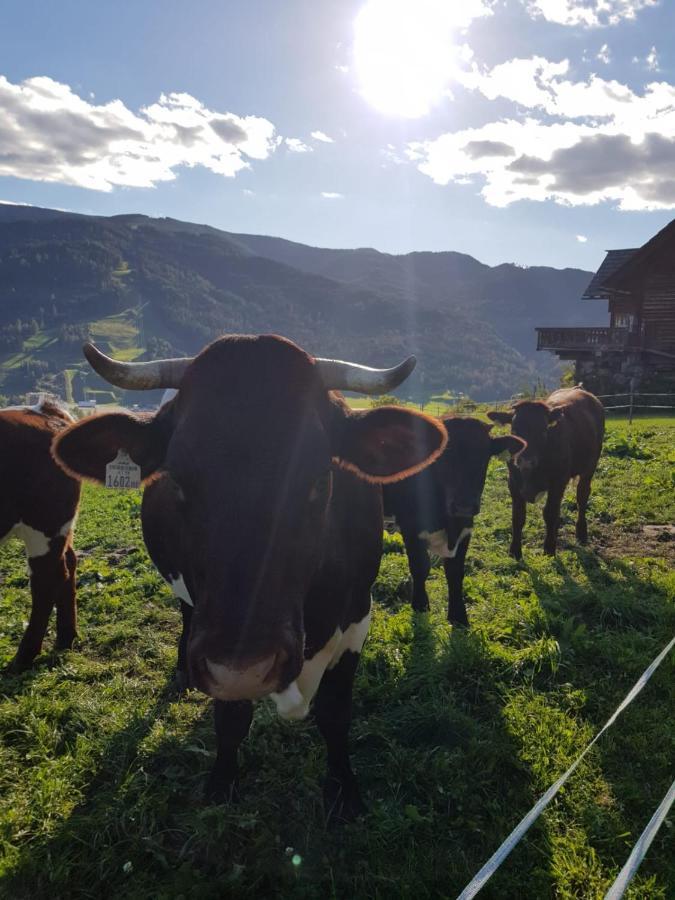 Huettenferien Koeberlhof Sankt Georgen ob Murau Exterior foto